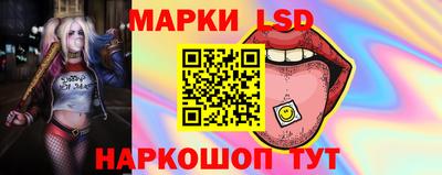 винт Донецк
