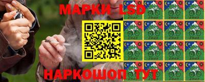 винт Донецк