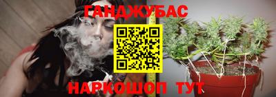 a pvp Дубна