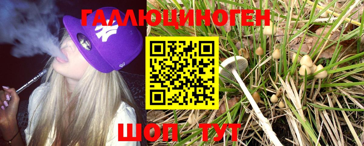 Луховицы  Псилоцибиновые грибы GOLDEN TEACHER  Вход с VPN 