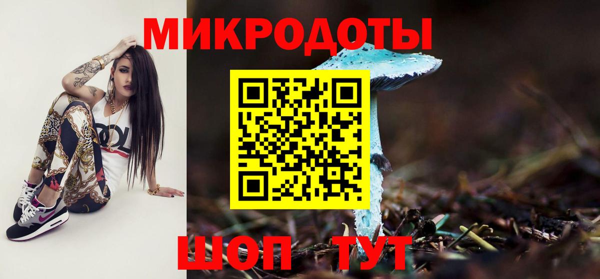 Псилоцибиновые грибы мицелий Луховицы